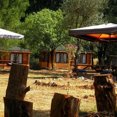 Olympos Woods - Adults Only-2