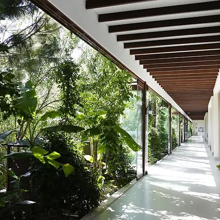 The Lifeco Bodrum Well-Being Detox Center And Vegan Hotel (Adults Only)-3