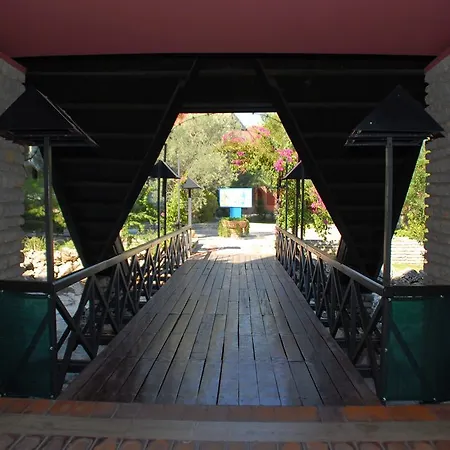 Hotel Patio Beach Club-2