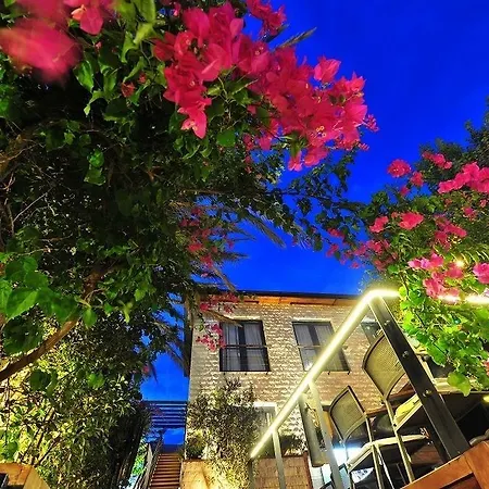 Hotel Gizia 5 Oda By El Hac-3