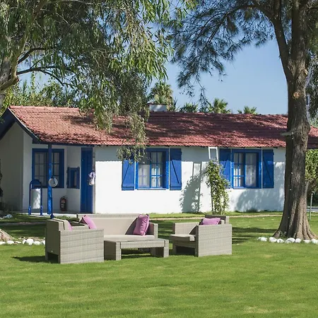 Mavi Zeytin Butik Otel-3