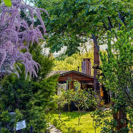 Park Mandalin Hotel - Adult only-2