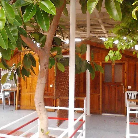 Baba Motel-2