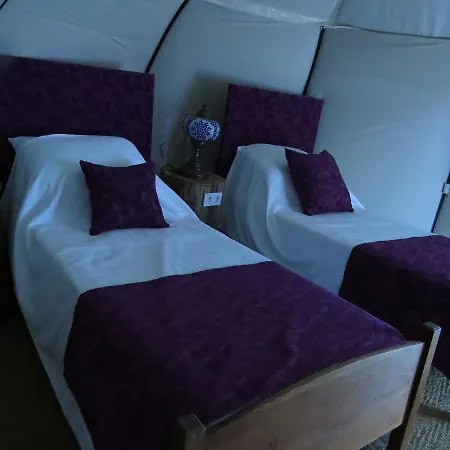 Azure Wellness Retreat (Adults Only)-2