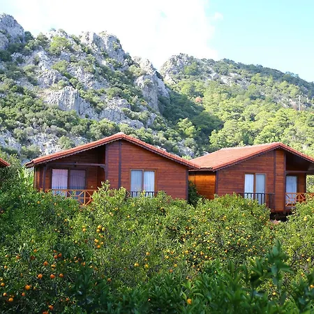 Bahçe Villa-2