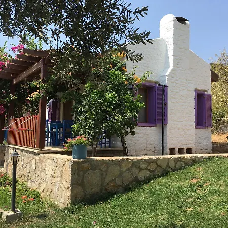 Koy Evi Apart-3