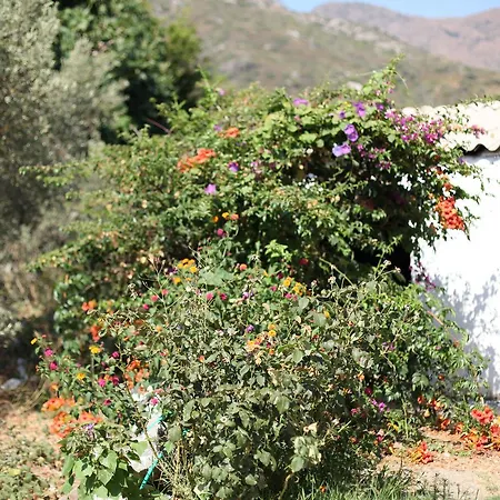 Meltem Pansiyon Datca-2