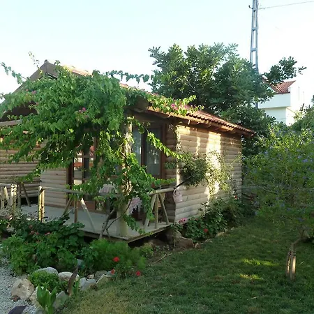Sef Apart & Bungalow-3
