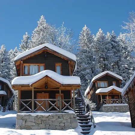 Zitas Zigana Yayla Tatil Koyu-3