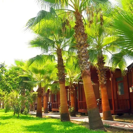 Dream Park Bungalow-3