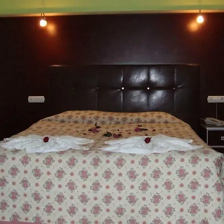Metropolis Hotel-3