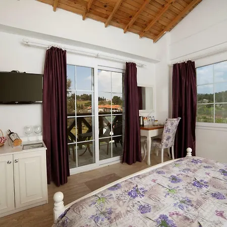 Vinifera Vineyards Hotel-3
