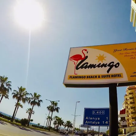 Flamingo Beach & Suite-3