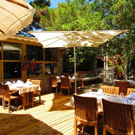 Assos Hunters Hotel (Adults Only)-2