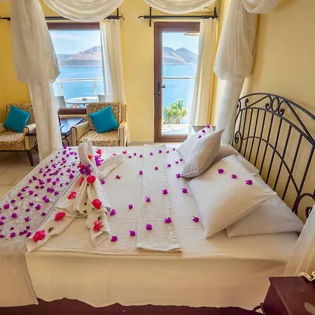 Hotel Cachet - Adult Only +14-2