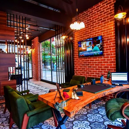 My Guse Suite-2