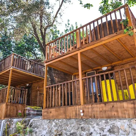 Baharoglu Life House Faralya-3