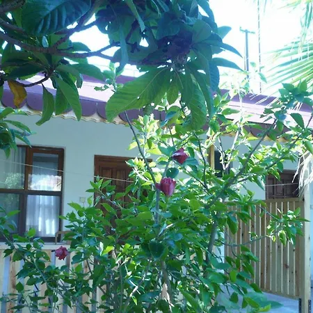 Kiyi Pansiyon-2