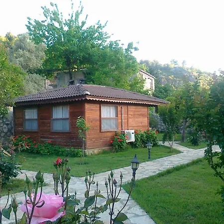 Hidden Garden-3