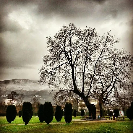 Kocaeli Universitesi Kartepe Park Hotel-2
