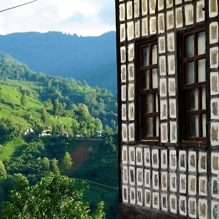 Laz Evi Pansiyon-3