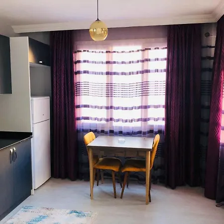Palmiye Butik Ev Otel-3