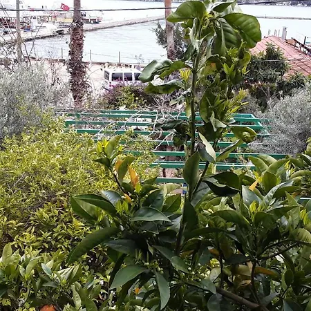 Cennet Pansiyon-2