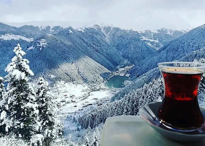 Yesil Kosk Hotel Uzungöl, Türkiye
