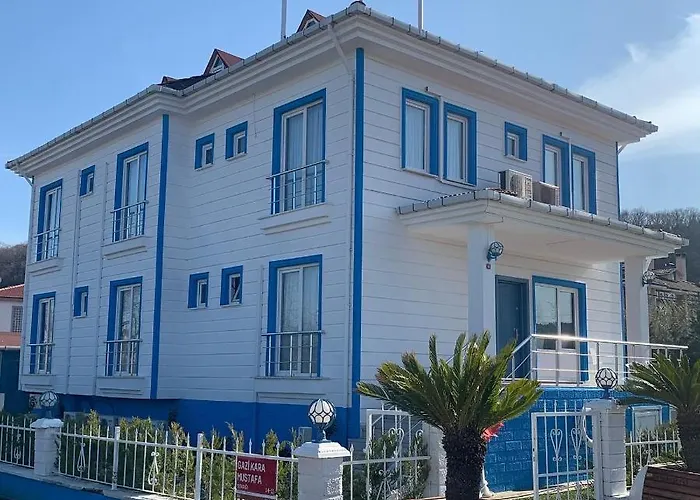 Palmiye Agva