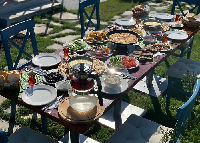 Palmiye Agva