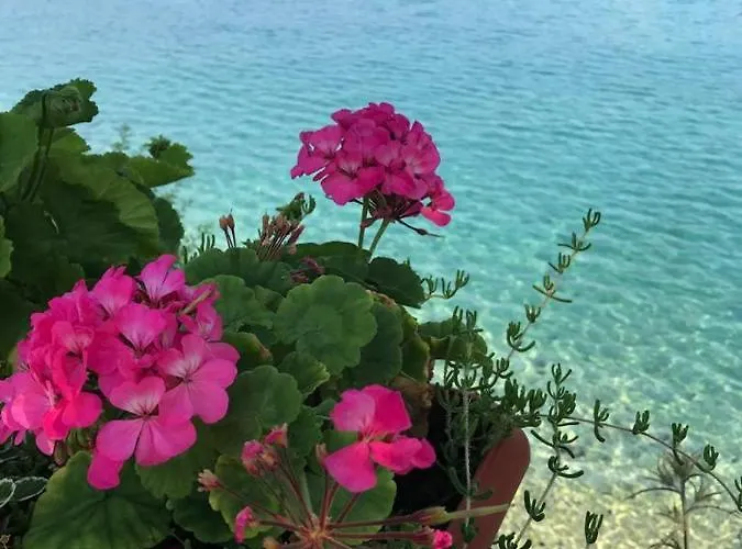 Zeytindali Pansiyon