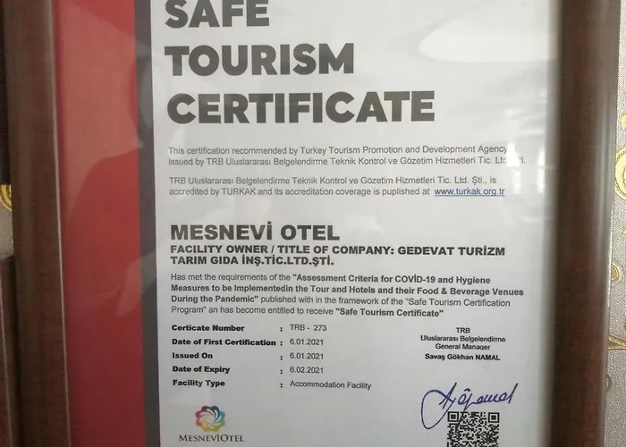 Mesnevi