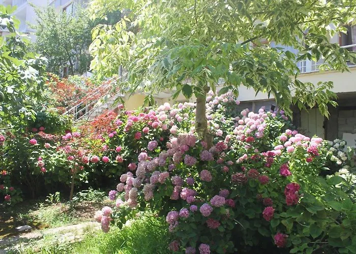 Orkide Motel Pansiyon