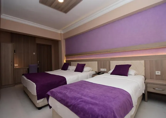 Plevne Otel