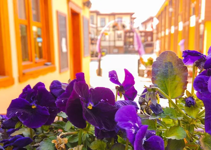 Arasta Konak Boutique