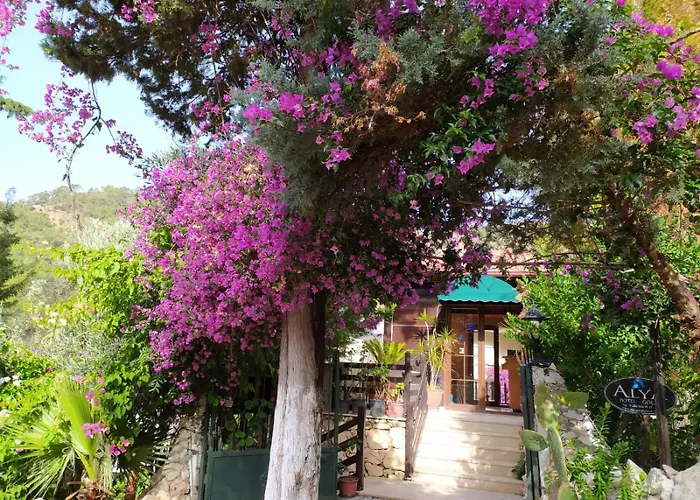 Alya Hotel Goecek, Turkey