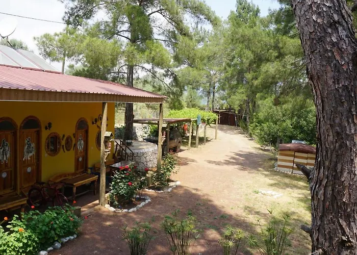 Olympos Tanrılar Kulubu