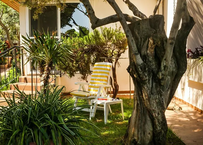 Casa Linn