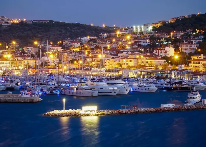 Minerva Port