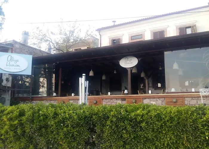 Aliye Hanim
