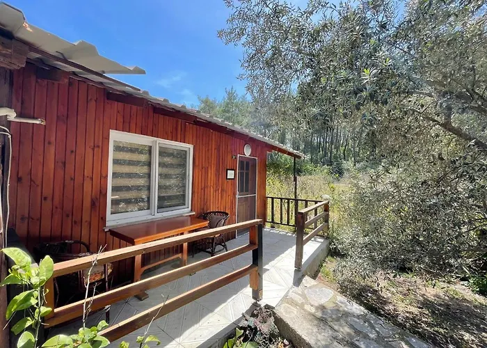 Olympos Inci Pansiyon