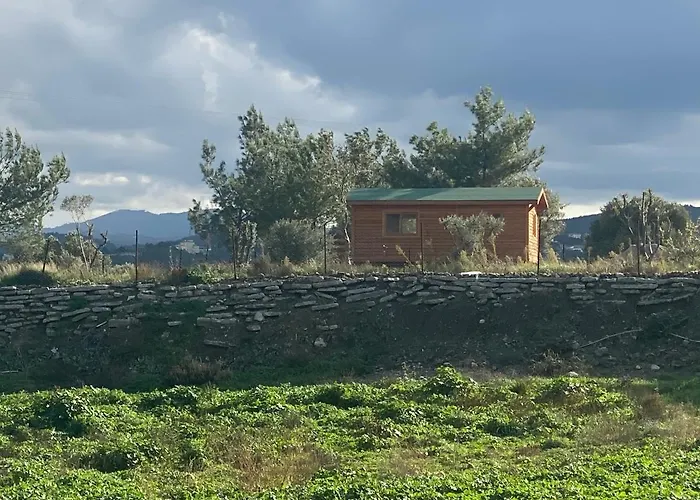 Nefes URLA