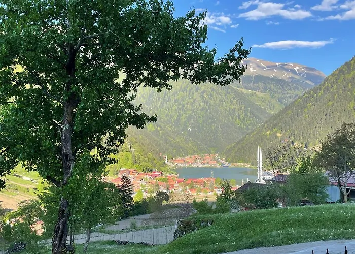Özkan