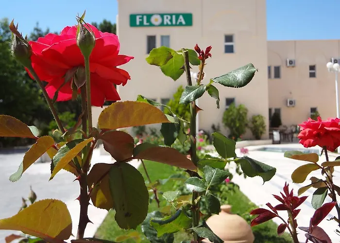 Floria