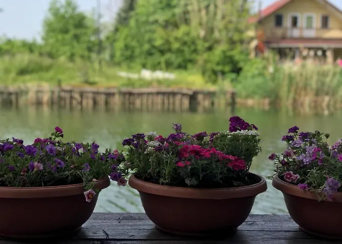 Agva Sweet Home River