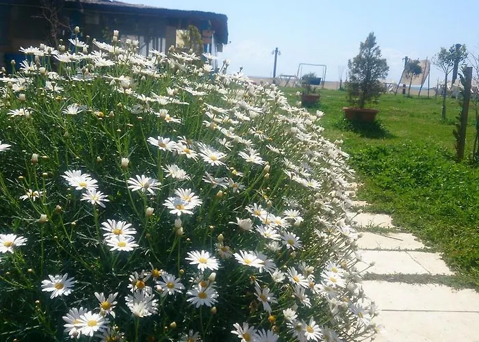 Deniz Hotel