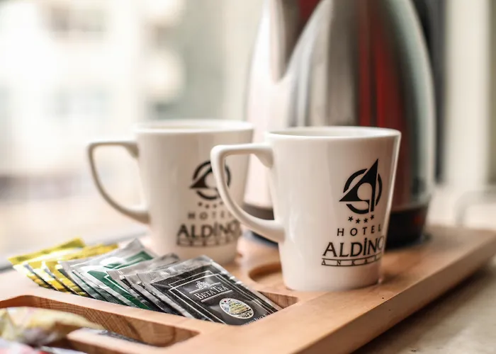 Aldino Hotel & Spa Ankara, Türkiye