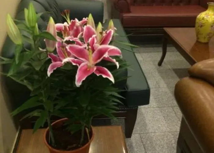 Uenver Hotel