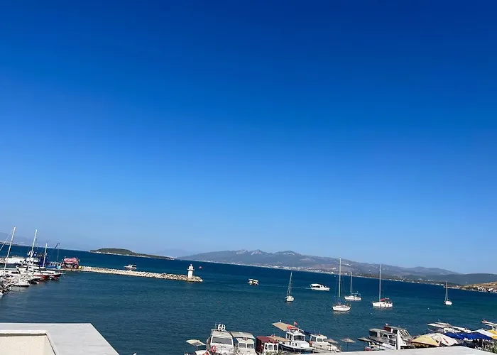 Marin