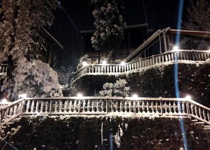 Zümrüdüanka